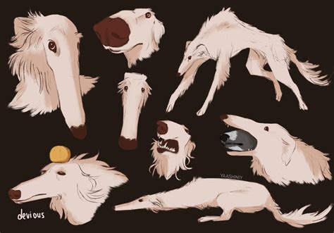 borzoi oc|borzoi drawings.